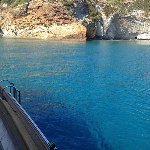 Acqua blu intensa sotto le scogliere di Palmarola, vista dal caicco